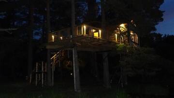 Фото номера Стандартный дом на дереве с видом на озеро Дома для отпуска Treehouse Čiekurs г. Duķuri 47